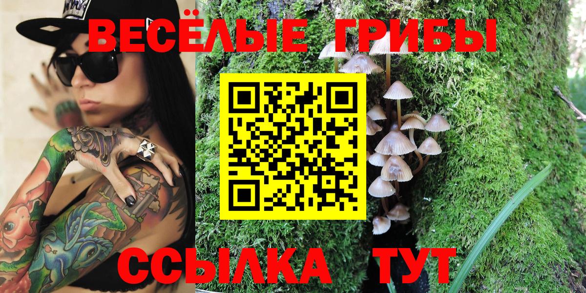 Псилоцибиновые грибы прущие грибы Асино