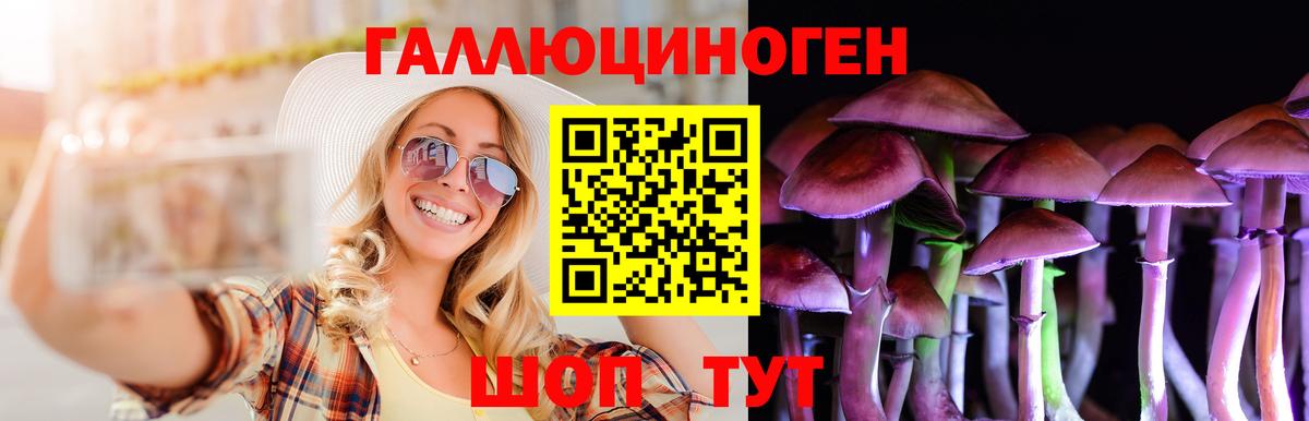 Галлюциногенные грибы Psilocybine cubensis  Вход с VPN  Асино 